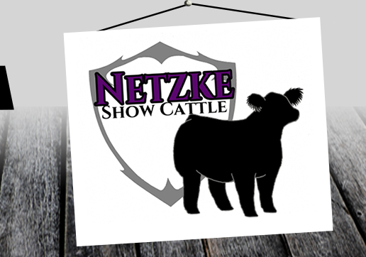 Netzke Show Cattle